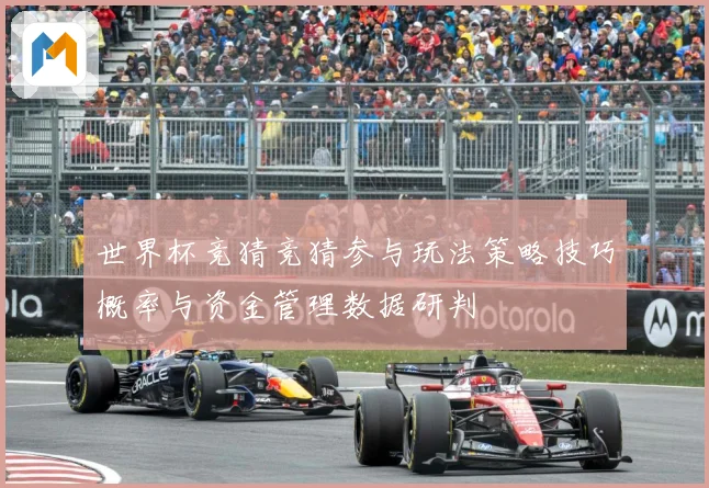 世界杯竞猜竞猜参与玩法策略技巧概率与资金管理数据研判